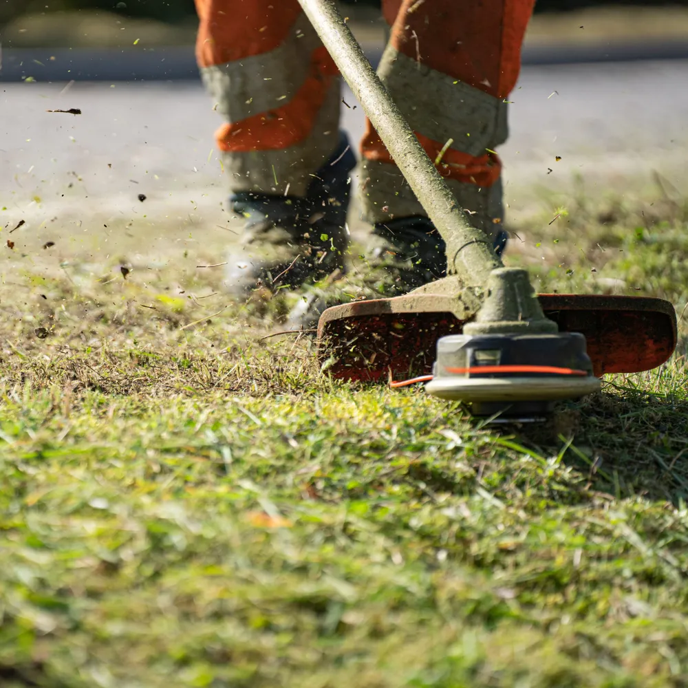 Grounds operative in protective trousers strimming grass