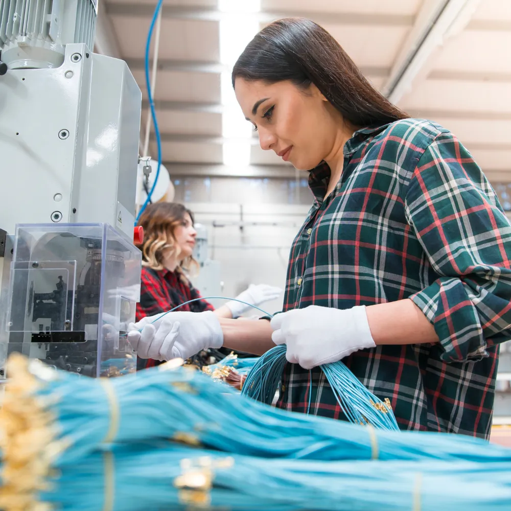Operatives assembling wiring looms at a production bench