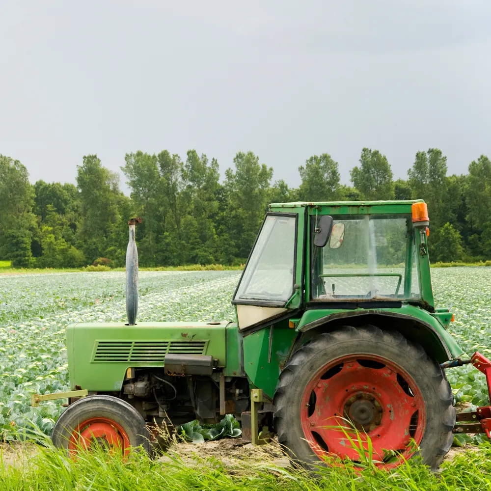 Tractor working a vegetable field
