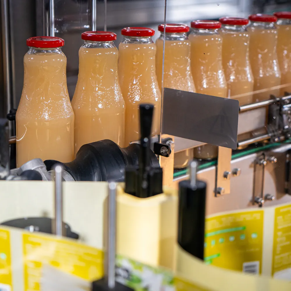 Glass bottles on a filling and labelling line